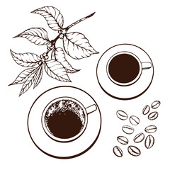 Top view of coffee cups, coffee branch and beans.