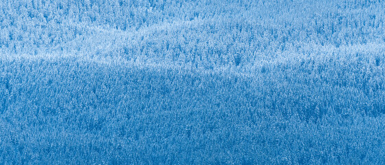 A panoramic view of dense forest on Swiss alps 
