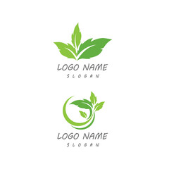 Leaf icon Vector Illustration design Logo template