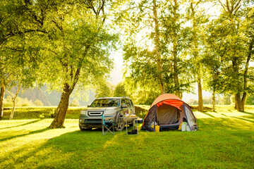 camping in the summer grove