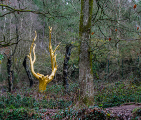 Brittany, France; February 17, 2021: the golden tree of the magical forest of Brocéliande at the entrance of the Val sans retour, Tréhorenteuc in the Morbihan.