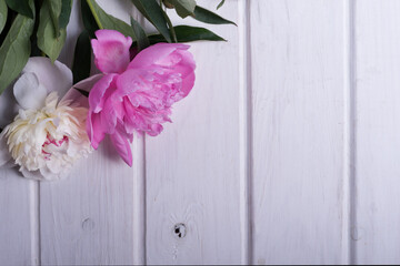 pink and white peonies  on wooden background