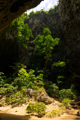 The light shining through trees from top to bottom inside the cave of Phraya Nakhon Cave at Prachuap Khiri Khan, Thailand.