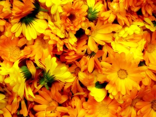 Yellow flowers close up in a basket