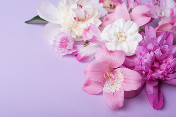 pink and white peonies  on pink background