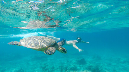 A man in a diving mask and fins diving along a turtle, next to the shore of Gili Air, Lombok...