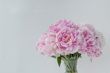 big beautiful bouquet of pink peonies in vase on white background, lots of copy space. Greetings concept, layout for postcard.