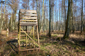 Open top hunting blind in forest.