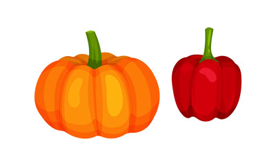 Ripe Vegetables as Healthy Raw Food with Pumpkin and Red Bell Pepper Vector Set