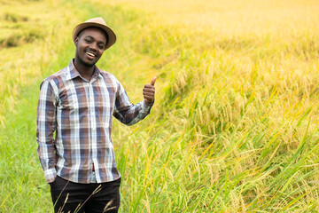 Naklejka na ściany i meble African farmer standing in organic rice field with smile and happy.Agriculture or cultivation concept