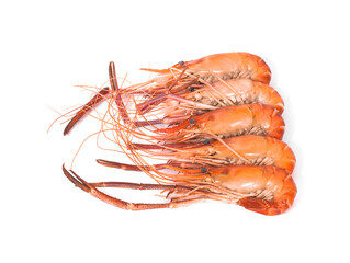shrimps isolated on a white background