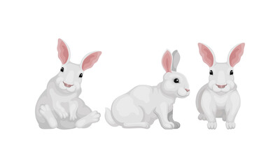 Fototapeta na wymiar Rabbit as Small Mammal with White Coat in Different Poses Vector Set