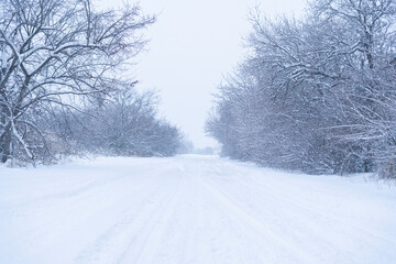Obraz premium beautiful landscape, snowy road in the forest between the trees, winter sseason
