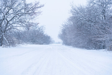 beautiful landscape, snowy road in the forest between the trees, winter sseason