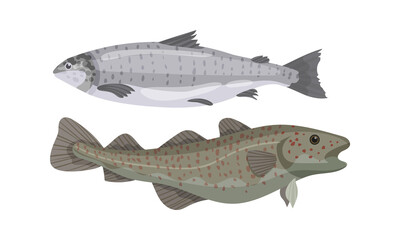 Fish as Gill-bearing Aquatic Animal Used as Seafood Vector Set