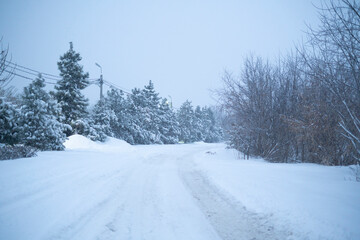Obraz premium beautiful landscape, snowy road in the forest between the trees, winter sseason