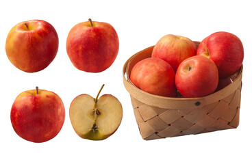 Apple harvest Idared