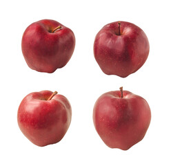 Winter apple variety Red Chief