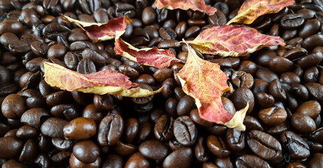 Suche, jesienne liście i ziarna niezmielonej kawy. - obrazy, fototapety, plakaty