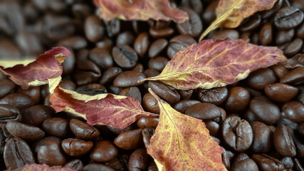 Suche, jesienne liście i ziarna niezmielonej kawy.