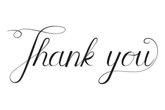 Thank you calligraphy lettering for appreciation card in vector