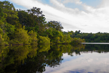 Reflections in the Rio Negro river in the Amazon Jungle, Brazil