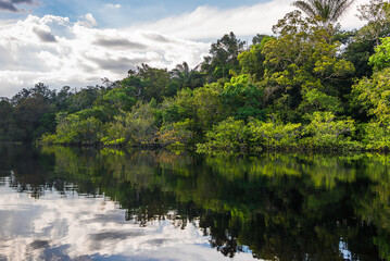 Reflections in the Rio Negro river in the Amazon Jungle, Brazil
