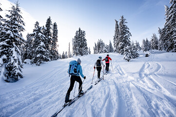 Mountaineer backcountry ski waling in the mountains. Ski touring in high alpine landscape with...