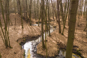 Leśny strumień płynący przez głęboki jar.