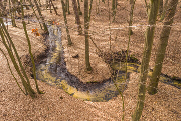 Leśny strumień płynący przez głęboki jar.