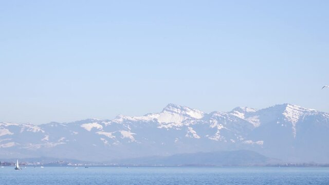 Panorama of Swiss alps and lake of Zurich with sailboat and birds flying.
