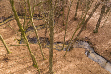 Leśny strumień płynący przez głęboki jar. - obrazy, fototapety, plakaty