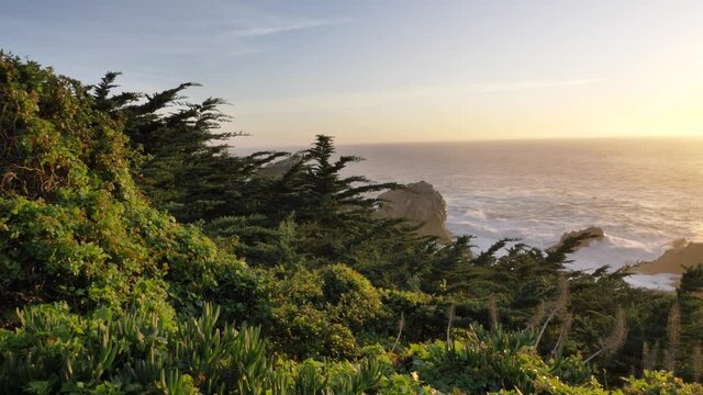 Sunset at scenic Big Sur coast of pacific ocean with beautiful flowers and green plants