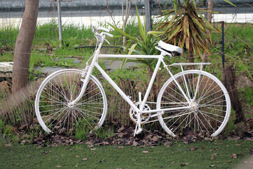 White painted bicycle in garden