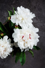 Bouquet of white peony flowers