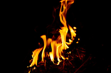 close-up - a small orange-yellow fire from a burning branch, different tongues of flame