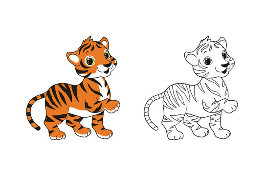 Coloring book for children, little striped tiger cub. Vector illustration in cartoon style, isolated line art