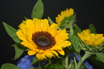 flores