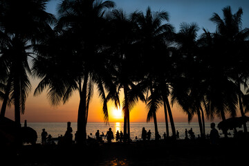 silhouette on people and coconut tree against beach in sunset