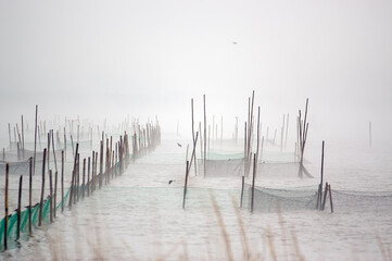 Krajobraz sieci łowne na jeziorze spowitym poranną mgłą - obrazy, fototapety, plakaty