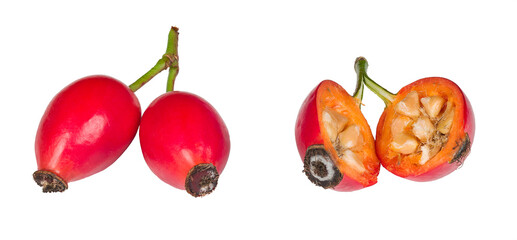 Healthy rosehips with red pulp and seeds in core isolated on white background. Rosa canina. Close-up of one halved and two whole ripe rose hips fruits of briar on green stalk. Natural herbal medicine.