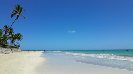 Fototapeta na wymiar Beautiful beach with clear blue sea in Tamandare, Pernambuco, Brazil