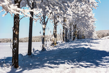 Winter Snow