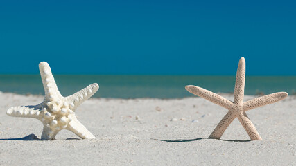 Fototapeta na wymiar Starfish on ocean beach. Spring or summer vacations. Blue sky and turquoise ocean water. Quartz sand. Sea coast. Florida paradise. Tropical nature. Sand dunes. Seascape concept for travel agency. 