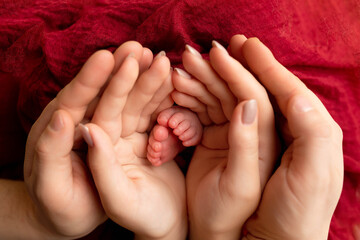 hands of parents and children. the legs of the newborn in the hands of mom and dad. the legs of the baby in the hands