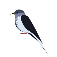 Bird_Cuckoo_カッコウ