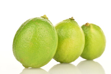 Group of green, natural lime, close-up, on a white background.