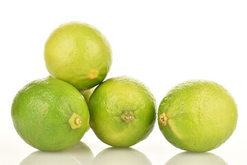 Group of green, natural lime, close-up, on a white background.