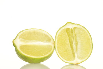 Two halves of bright green ripe lime, close-up, on a white background.