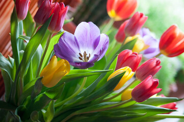 Spring bouquet of colorful tulips. A beautiful combination of bright juicy colors.